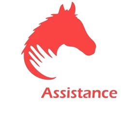Logo EquitAssistance Footer