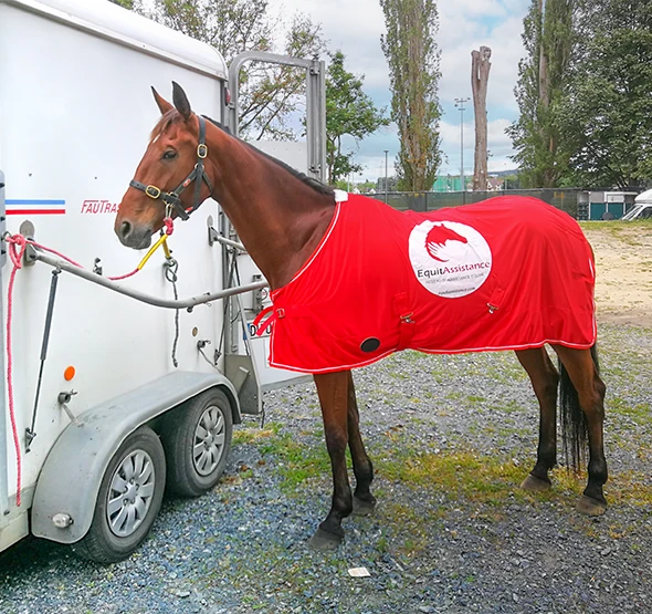 Cheval habillé d'une robe signé du logo Equitassistance